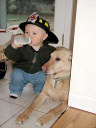 funnydogs.jpg