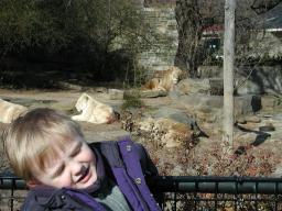 lions.jpg