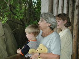 wildanimals.jpg