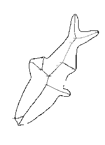\psfig{figure=figs/herring_original_boundary.ps,height=6.2cm}