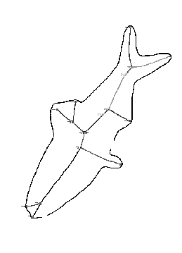 \psfig{figure=figs/orig2.ps, height=3in}