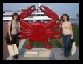 imgp2539.jpg