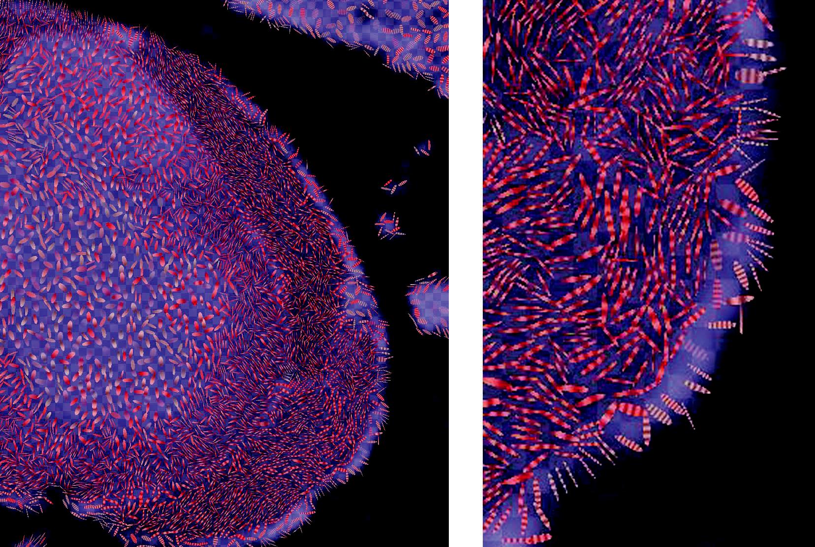 Loose, Artistic ``Textures'' for Visualization