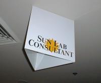 consultant sign