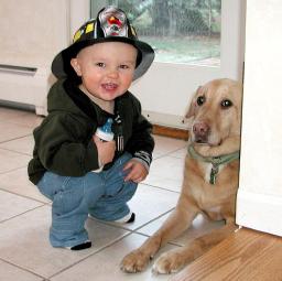 firedogs.jpg