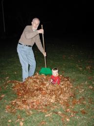raking.jpg