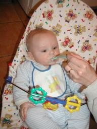 firstsolids.jpg