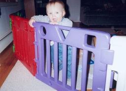 Who put this fence in my way?