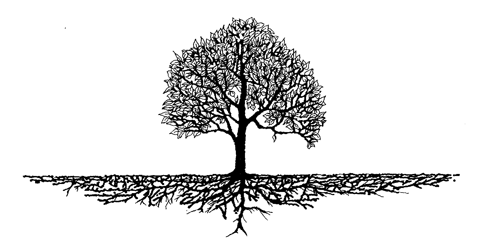 xport snes to 360 xport